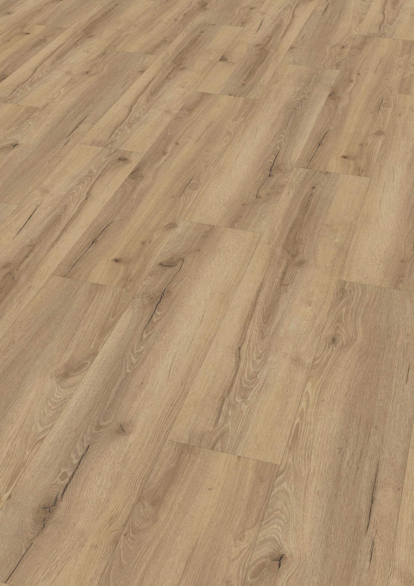 Nova Plus Eiche rustikal Hell